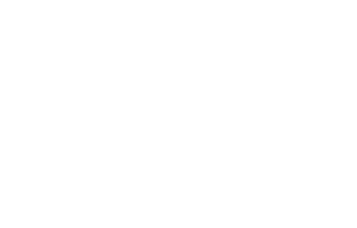 The Animal League