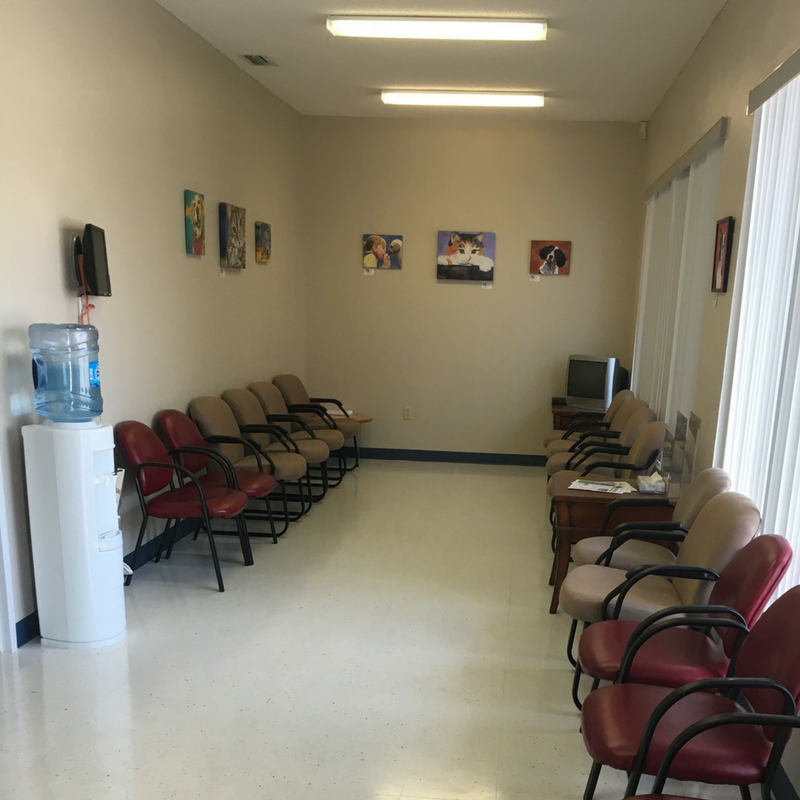 The Animal League Wellness Center 5 star veterinarian clinic in Leesburg FL lobby