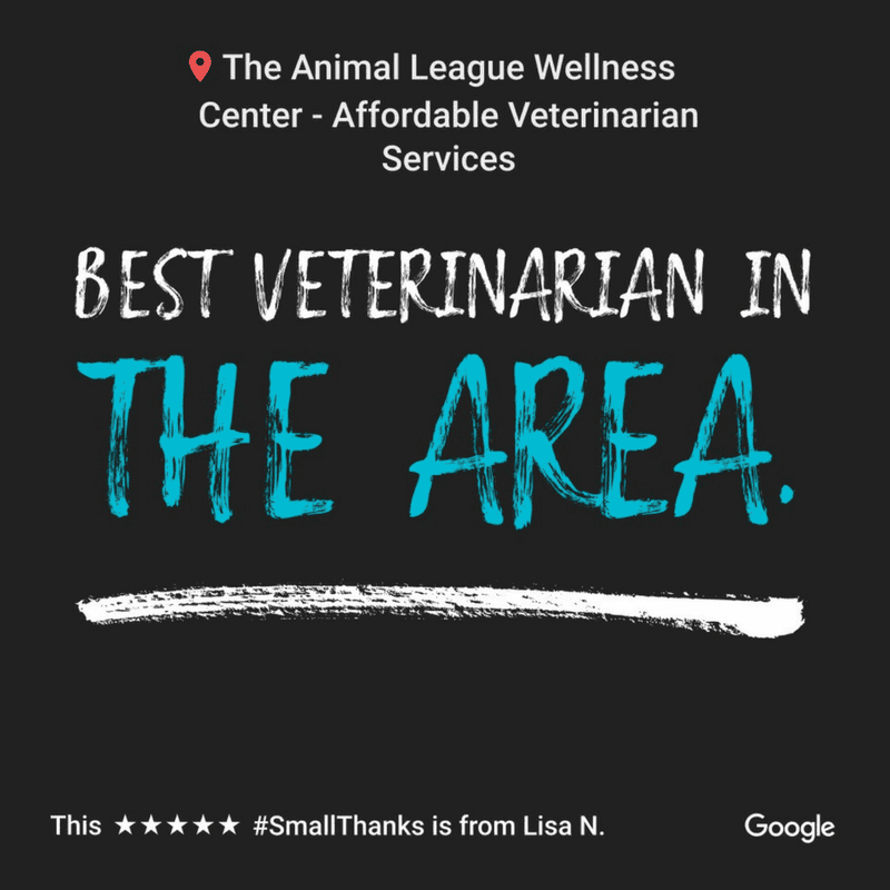The Animal League Wellness Center 5 star Google review; "Best veterinarian in the area".